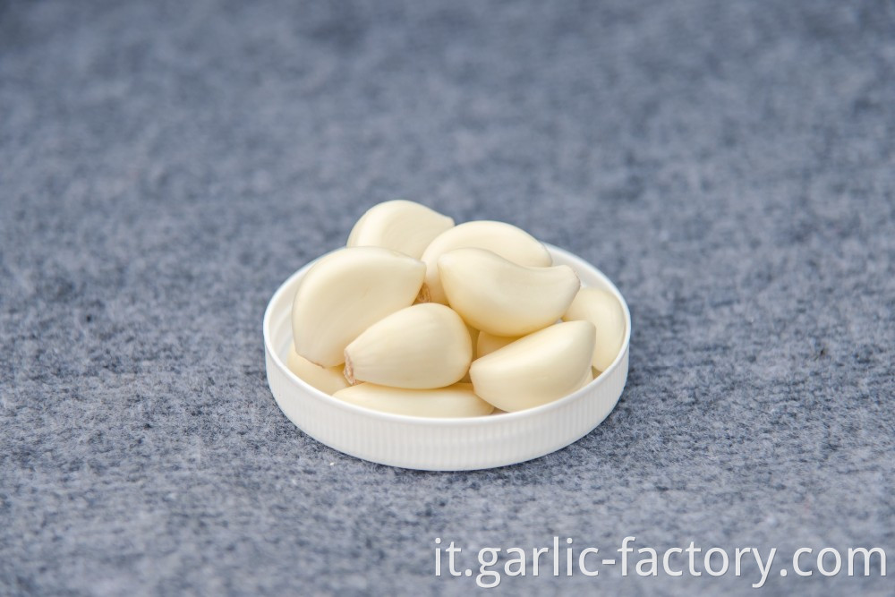 Fesh Peeled Garlic For Sale